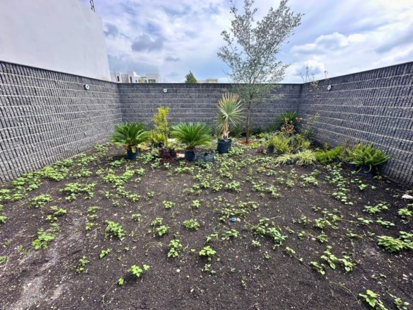 jardin de casa en Residencial El Mayorazgo, Querétaro.